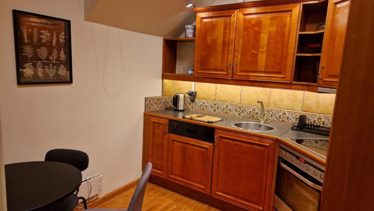 Tyzenxl Luxury Vilnius Apartments Kültér fotó