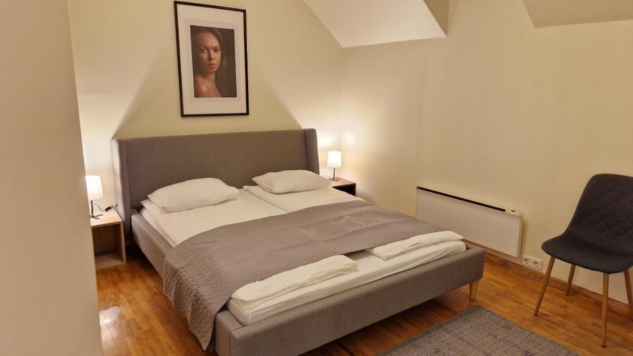 Tyzenxl Luxury Vilnius Apartments Kültér fotó