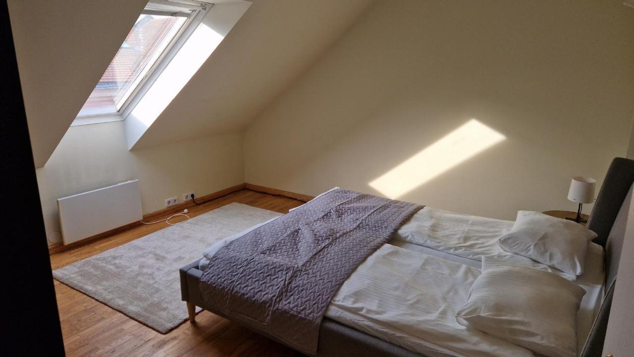 Tyzenxl Luxury Vilnius Apartments Kültér fotó